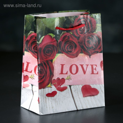 ПАКЕТ ЛАМИНАТ 12х15х5 см, (3821268)